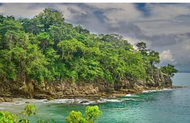 PEARL ISLANDS
