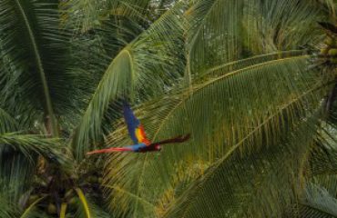 MANUEL ANTONIO NATIONAL PARK
