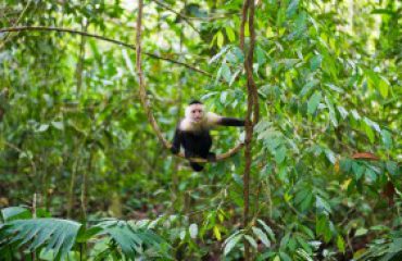 MANUEL ANTONIO NATIONAL PARK