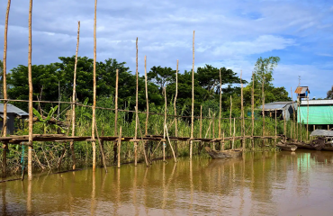 Mekong village