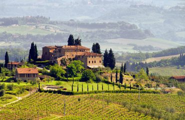 Toskana Weingut - Tuscany vineyard 03