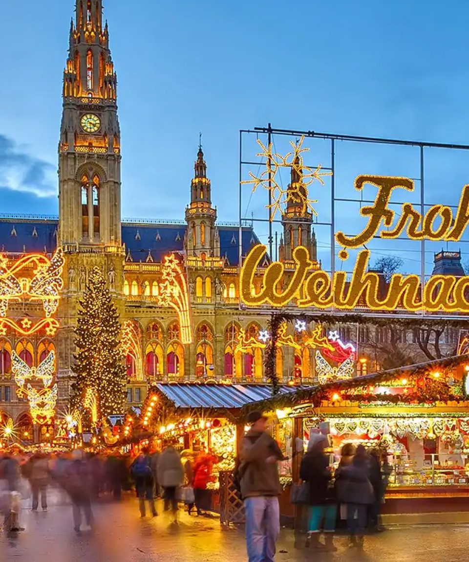Vienna Christmas Market 2