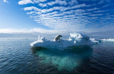 silversea-luxury-cruises-svalbard-nothern-region-norway-bear-iceberg