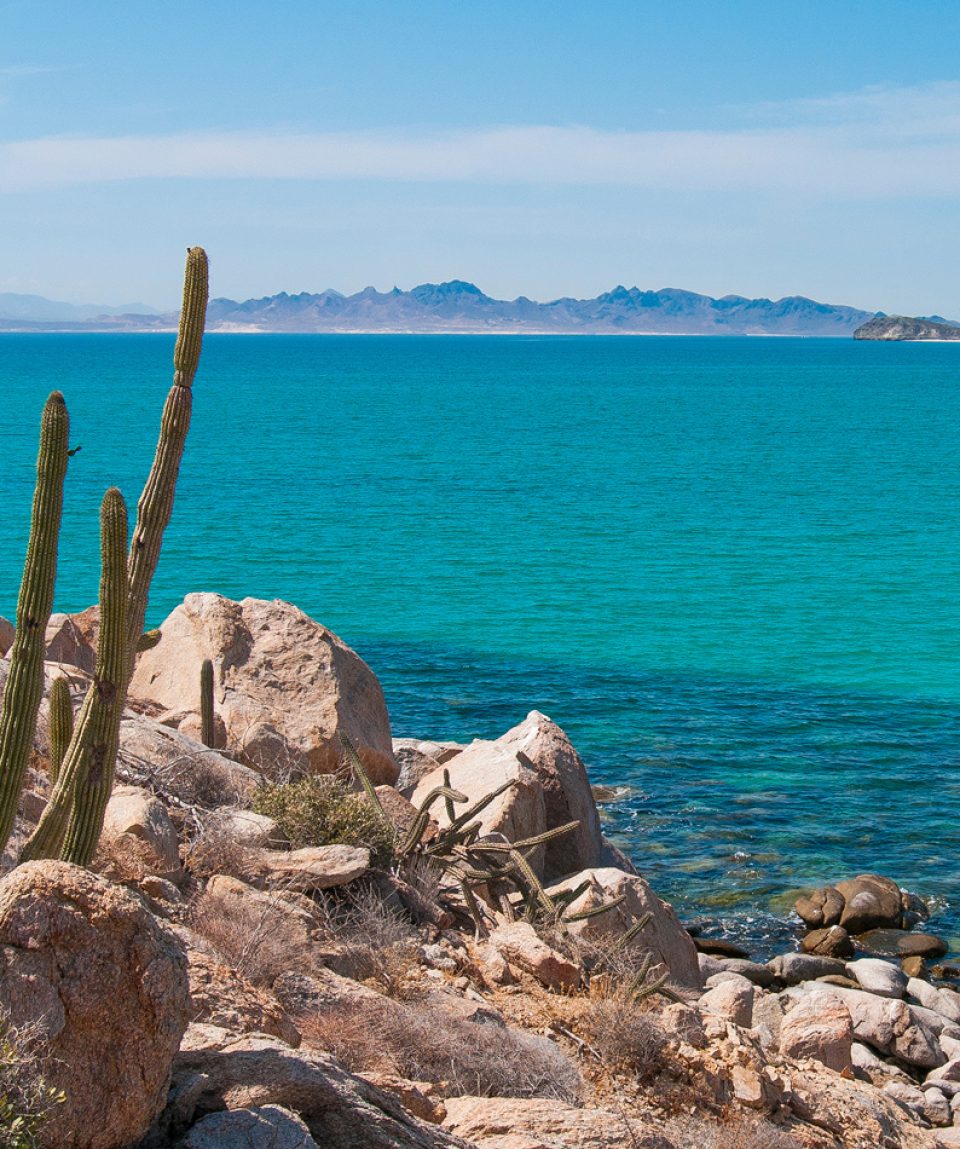 Isla Espiritu Santo, La Paz Baja California Sur. MEXICO